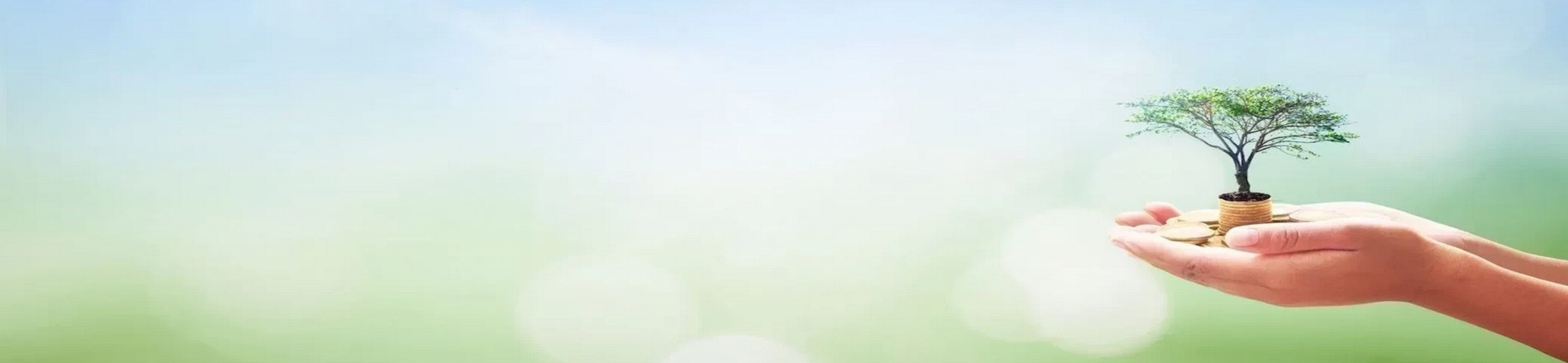 Image of a hand holding a sprouting tree